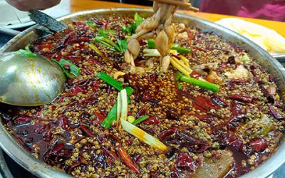 成都美蛙鱼91免费看片APP下载班