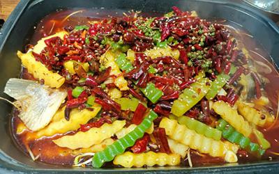 烤鱼91免费看片APP下载学费多少钱？