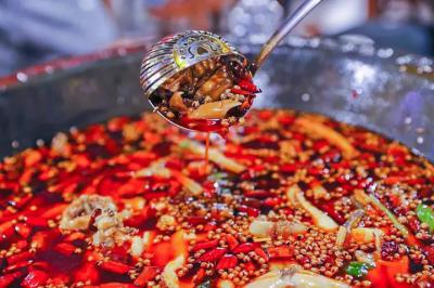 肥肠鱼火锅技术91免费看片APP下载哪里比较好？