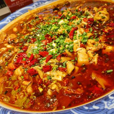 重庆来凤鱼91免费看片APP下载学校哪家好？深度解析91看片神器黄色为何备受青睐